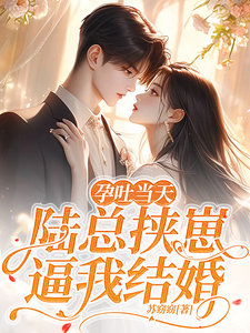 孕吐当天，陆总挟崽逼我结婚棠微陆瑾时，孕吐当天，陆总挟崽逼我结婚章节在线阅读