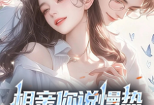 《相亲你说慢热,我放弃你哭啥?》全集免费在线阅读(丁歌)-书格格