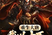 小说《重生大唐，我以十万铁骑镇边疆》章节免费阅读-书格格