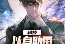 科技：以身助国，打造高级芯片完整版小说，科技：以身助国，打造高级芯片杨宇科-书格格