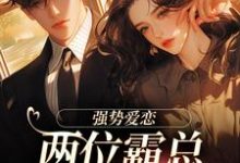 纵意沉沦梁颂薇傅暨臣小说大结局免费试读-书格格