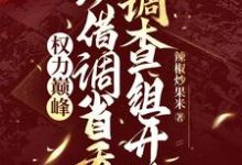 权力巅峰：从借调省委调查组开始小说的免费阅读版本在哪里可以找到？-书格格