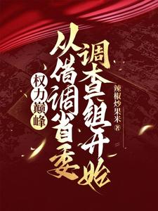 已完结小说《权力巅峰：从借调省委调查组开始》最新章节