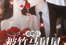 祝筱陆准礼完整版小说免费阅读-书格格