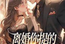 免费看离婚你提的，怎么又求我复婚小说的网站有哪些？-书格格