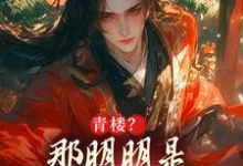 求青楼？那明明是本皇子的根据地小说免费资源-书格格
