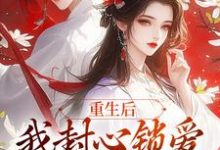 小说《重生后，我封心锁爱，皇帝请离开》章节免费阅读-书格格