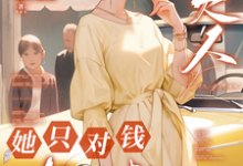 九零，夫人她只对钱有兴趣小说无弹窗阅读的网站推荐-书格格