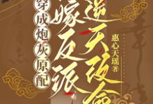 哪里能找到穿成炮灰原配，换嫁反派逆天改命小说的全部章节？-书格格