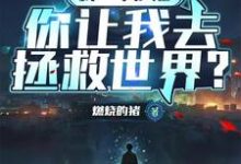 《我一个沙雕，你让我去拯救世界？》小说凌风章节章节免费在线阅读-书格格