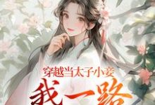 沈嫣萧逸宸小说在线章节免费阅读（穿越当太子小妾，我一路扶摇直上无弹窗无删减）-书格格