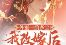 外室一胎多宝，我改嫁后你哭啥完整版小说免费阅读，外室一胎多宝，我改嫁后你哭啥小说-书格格