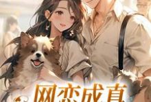 已完结小说《网恋成真，这小子乐癫了》在线章节阅读-书格格