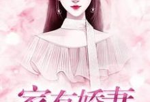 家有娇妻这本小说完结了吗？免费查看最新章节-书格格
