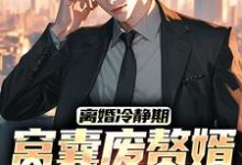 离婚冷静期，窝囊废赘婿黑化了宋亦，离婚冷静期，窝囊废赘婿黑化了小说免费阅读-书格格
