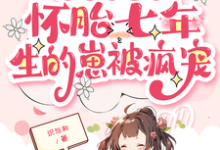 沈瑞曦小说皇帝绝嗣？怀胎七年生的崽被疯宠完整版阅读-书格格
