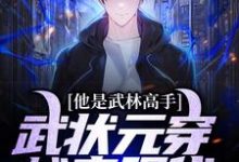 完结版《他是武林高手：武状元穿越来现代》章节阅读-书格格