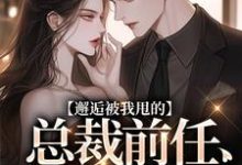 已完结小说《邂逅被我甩的总裁前任，他又爱了！》章节免费阅读-书格格