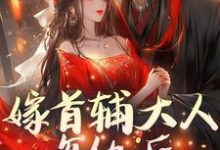 已完结小说《嫁首辅大人复仇后，她被反攻略了》章节在线阅读-书格格