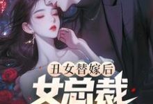 丑女替嫁后，女总裁悔恨万分小说全文阅读需要付费吗？寻找免费资源-书格格
