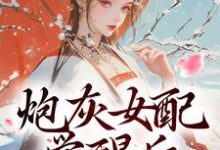 炮灰女配觉醒后：我要宫斗！顾婉盈小说在线章节免费阅读-书格格