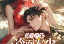 穿书八零：冷面军少夜夜来敲门这本小说完结了吗？免费查看最新章节-书格格