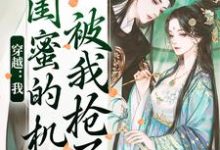 梅久傅砚辞小说完结版在线阅读，穿越：我闺蜜的机缘被我抢了免费看-书格格