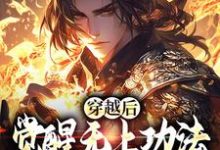 宋终完整版《穿越后，觉醒无上功法的我要复仇了》小说免费阅读-书格格