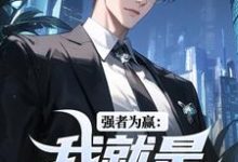 强者为赢：我就是权力中心赵阳，强者为赢：我就是权力中心小说免费阅读-书格格