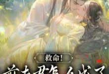 爱你太苦,这辈子打死我都不嫁了这本小说怎么样?免费在线阅读试试-书格格