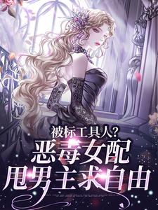 完整版《被标工具人？恶毒女配甩男主求自由》小说免费阅读