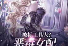 被标工具人?恶毒女配甩男主求自由小说全文阅读需要付费吗?寻找免费资源-书格格