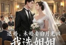 退婚，未婚妻白月光回，我选姐姐徐仁，退婚，未婚妻白月光回，我选姐姐小说免费阅读-书格格