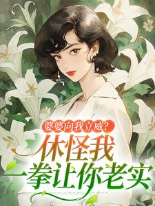 姜婉小说在线章节免费阅读（婆婆向我立威？休怪我一拳让你老实无弹窗无删减）