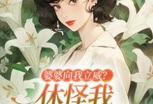 婆婆向我立威？休怪我一拳让你老实小说无弹窗阅读的网站推荐-书格格