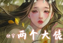 《快穿两个大佬别关了不逃了》方窈小说免费阅读完整版-书格格