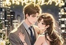 小说《结婚他不情不愿，离婚他纠缠不休》章节免费阅读-书格格