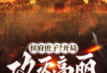 哪里可以免费找到侯府庶子？开局攻灭高丽自封王！？-书格格