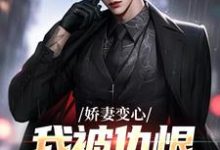 娇妻变心，我被仇恨占据了全身小说免费资源，娇妻变心，我被仇恨占据了全身在线阅读-书格格