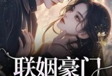 《联姻豪门继承人后，我逃婚了！》小说章节列表免费试读，沈心姿陆仲廷小说在线阅读-书格格