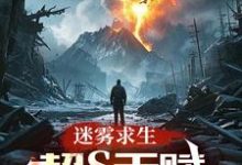 迷雾求生：超S天赋，点化万物！小说有没有完结版在线？-书格格