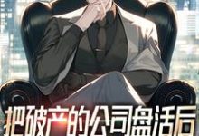 在线寻找把破产的公司盘活后，顺便震惊全球小说的无删减版本-书格格