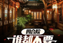 小说《四合院谁都不要和我抢养老》在线章节阅读-书格格