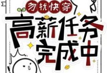 勿扰快穿：高薪任务完成中这本小说在哪里可以看？哪里有免费试读章节？-书格格