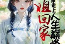 完整版的长姐回家，带领全家走上人生巅峰小说在哪里可以免费读到？-书格格