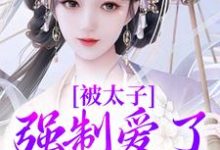 容桓晚寻楠小说完整版《被太子强制爱了怎么办》免费阅读-书格格