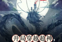 开局穿越超神，系统非说是西游！这本小说怎么样？免费在线阅读试试-书格格