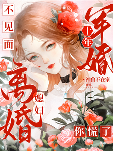 军婚十年不见面，媳妇离婚你慌了免费阅读，军婚十年不见面，媳妇离婚你慌了章节在线阅读