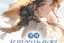 在线免费阅读穿成书里的边角料怎么办？在线等完整小说-书格格