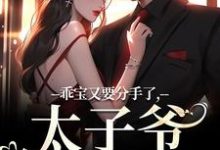 乖宝又要分手了，太子爷求贴贴小说有没有完整的免费版本在线阅读？-书格格